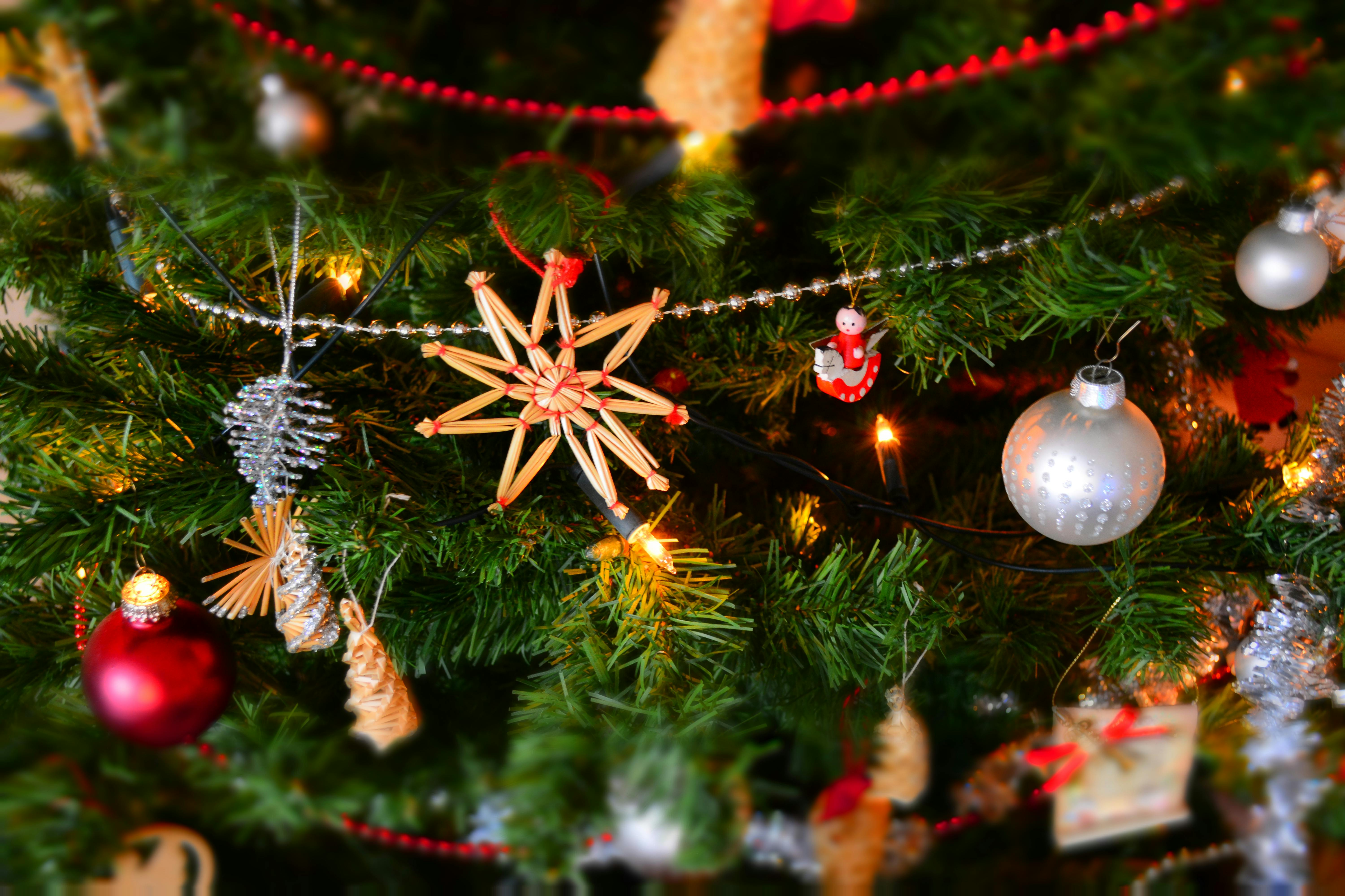 The truth about Christmas
