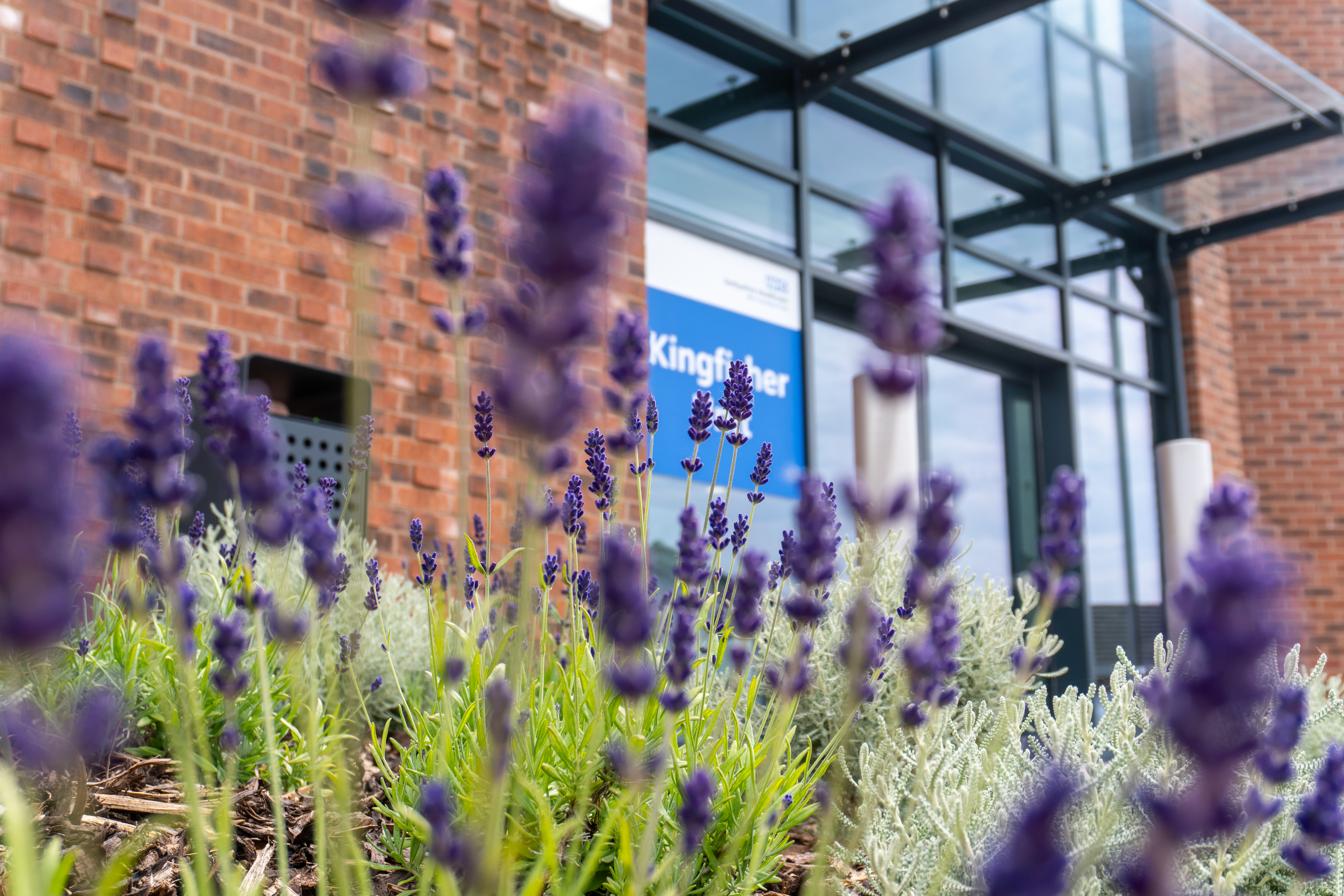 Derbyshire Healthcare opens county&rsquo;s first male Psychiatric Intensive Care Unit in Derby