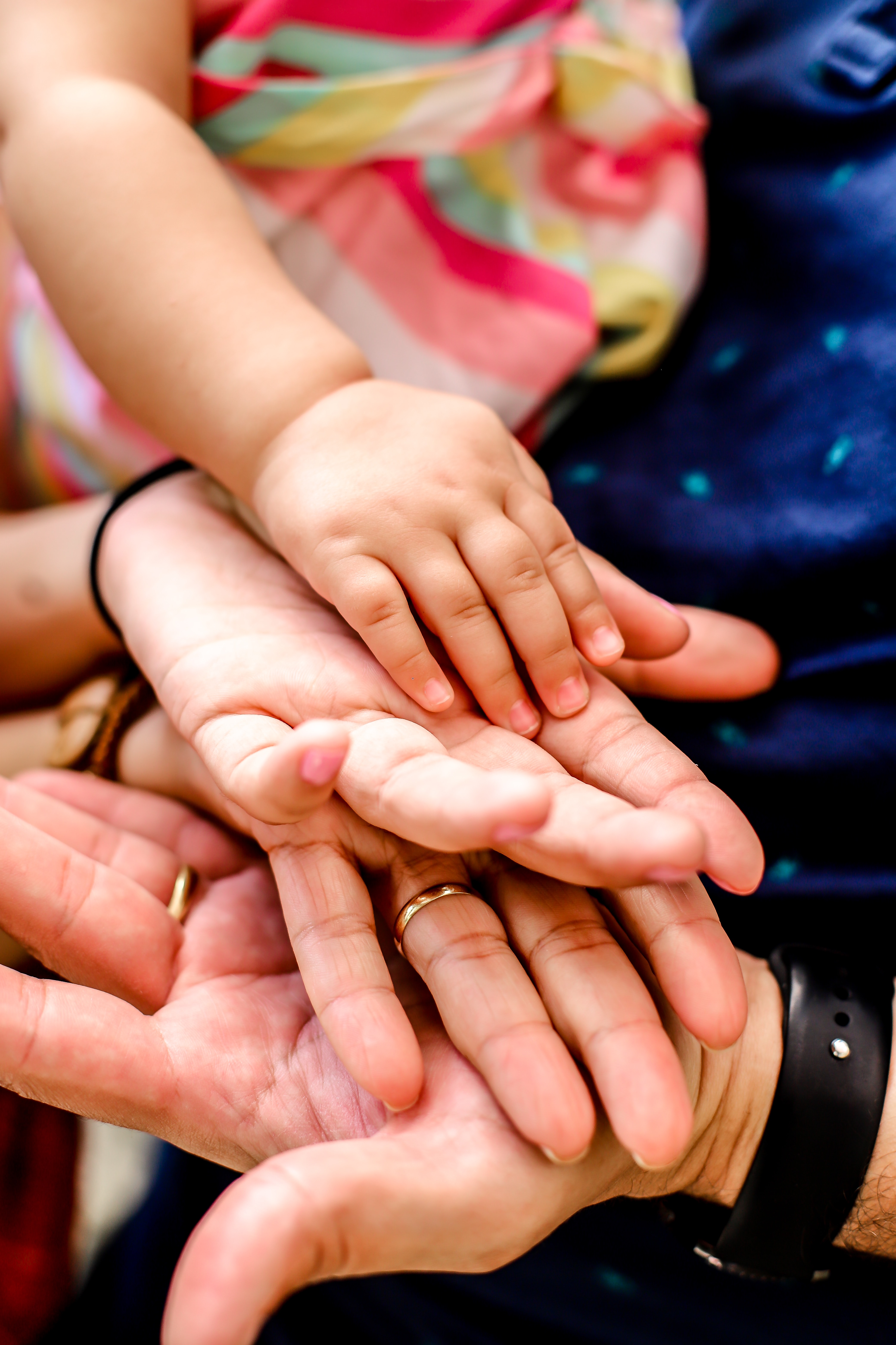 Carers and families hub