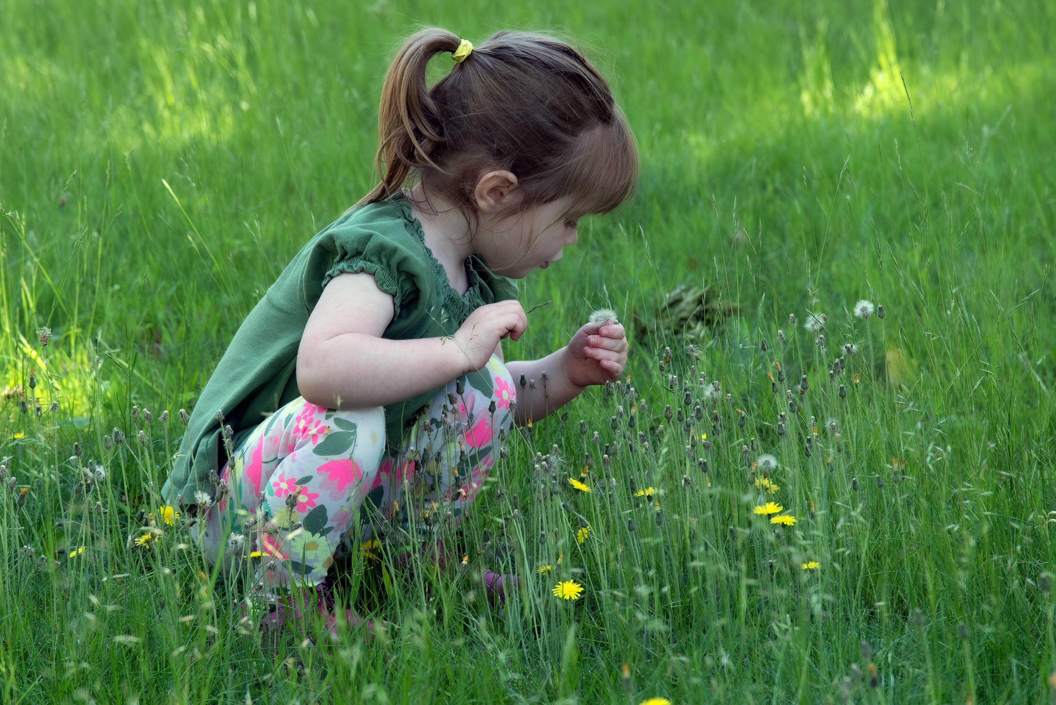 2-3 years old