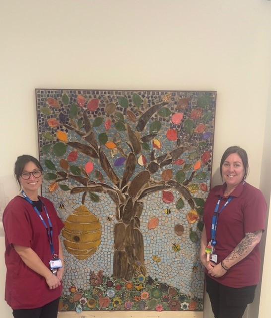 New artwork created by patients for patients displayed at new mental health unit in Chesterfield