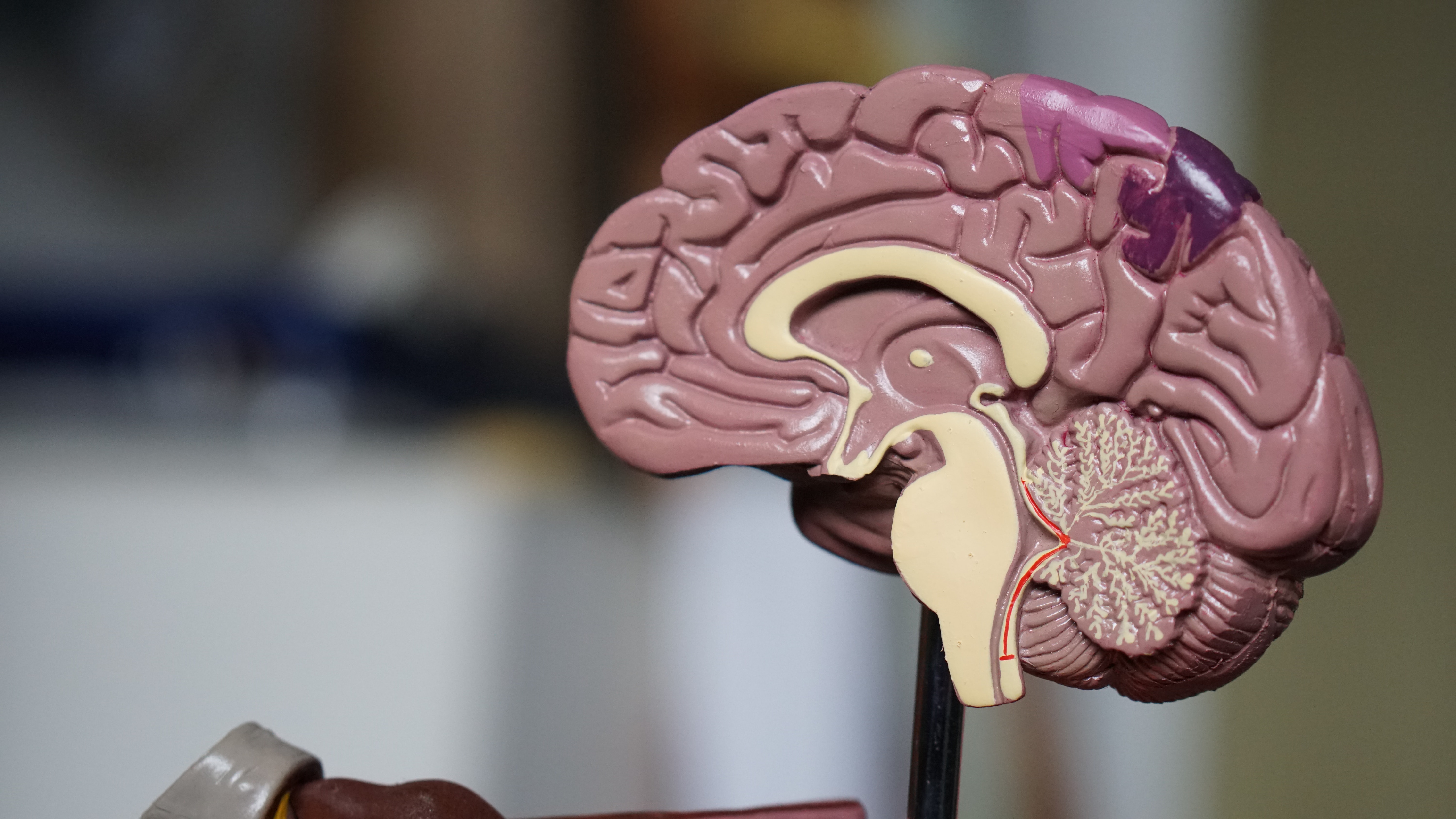 Memory Assessment Service